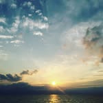 Jose Knox - @movementjp - Instagram