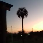 Jose Carlos Silva Kruger - @josecarlossilvakruger - Instagram