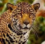 Jose Kruger - Facebook