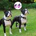 Jose Lang - Facebook