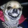 jose leanos - @joseleanos4 - TikTok