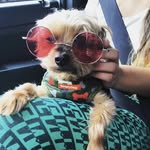 Raymond José Legarda - @lilrayray3000 - Instagram