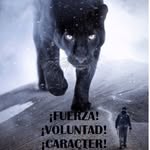 Jose Lizarde Sandoval - @panther_56.2970 - Instagram