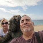 Jose Lucena Silva - @silvajoselucena - Instagram