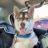 Luke José - @lukejose.n - TikTok
