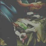Jose Malone - @natepekartyg - Instagram