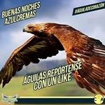 Jose Marentes - @josemarentes97 - Instagram