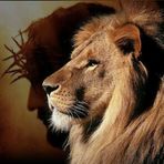 Jose Marquez - Facebook