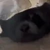 Jose Mata - @jose.mata510 - TikTok