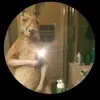 josematta510 - @jose.matta13 - TikTok
