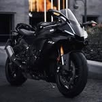 José Matus - @jose_matus777 - Instagram