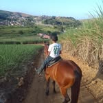 jose máximo de souza sobrinho - @josemaximonino - Instagram