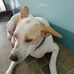 Jose Mayol - Facebook