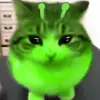 𝓡𝓲𝓹_𝓿𝓸𝓲𝓭✝️ - @josemorfin138 - TikTok