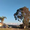 Jose Morfin - @jose.morfin1 - TikTok