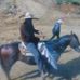 Jose Morua - Facebook