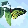 Jose Mosso - @jose.mosso7 - TikTok