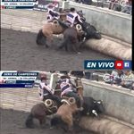 Jose Tomas Mozo - @josetomasmozo - Instagram