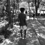 José Nicolas - @josenicolas7497 - Instagram