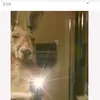Jose Nicolas - @jose.nicolas493 - TikTok