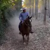 José nicolas f. - @nico_fuent - TikTok