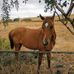 Jose Nodar - Facebook
