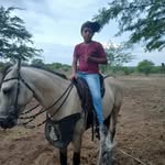 jose Augusto noia - @joseaugustonoia - Instagram
