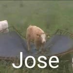 José noia - @jose0___________0 - Instagram