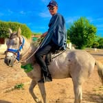 José Nonato - @josenonato_2 - Instagram
