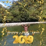 Jose Norman Castro - @josenormancastro - Instagram