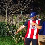 Jose Noronha - @josenoronha14 - Instagram