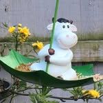 Jose Northey - @josenorthey - Instagram