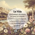 Jose Notario - Facebook