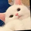 user2893651081747 - @josenova14 - TikTok