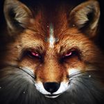 Jose Novák - @choseenovak - Instagram