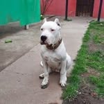 Josenoval - @josenovoa2023 - Instagram