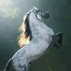 José C - @josenoy - TikTok