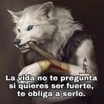 Jose Luis Nuesi - @nuesi.joseluis - Instagram