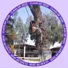Jose Oblea Herrera - @joseobleaherreraj0he - TikTok