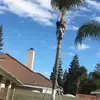 joseoblea1 - @joseoblea1 - TikTok