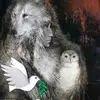 Jose Ocadiz - @jose.ocadiz - TikTok
