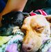Joseph Odell - Facebook