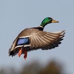 Joseph O'Donnell - @josephodonnell53 - Instagram