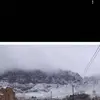 Jose Olague - @jose.olague1 - TikTok