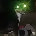 Jose Olalde - @heckkn_doge_ - Instagram