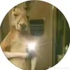 Jose olan - @jose.olan46 - TikTok