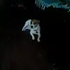 joseolan990 - @joseolan990 - TikTok