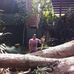 Jose Olea - Facebook