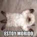 Jose Luis Olivarez Patlan - Facebook