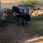 José Olivarez - @jose.olivarez.5059 - Instagram